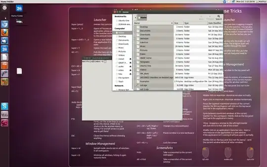 theme and dash defect