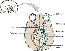 refer to accompanying text