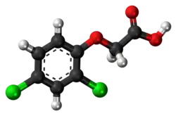 Ball-and-stick model of 2,4-dichlorophenoxyacetic acid