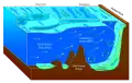 Antarctic bottom water