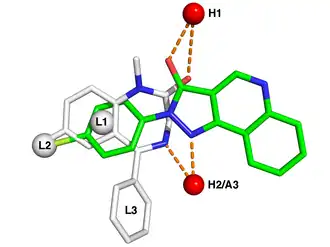 Superposition of the chemical structures of a benzodiazepine and nonbenzodiazepine ligand and their interactions with binding sites within the receptor.
