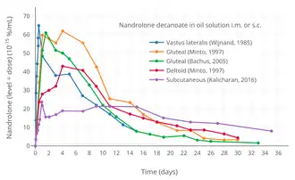Dose-normalized nandrolone exposure (serum level divided by dose administered) with nandrolone decanoate in oil solution by intramuscular or subcutaneous injection in men.