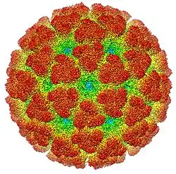 Cryoelectron microscopy reconstruction of "Chikungunya virus". From EMDB entry EMD-5577
