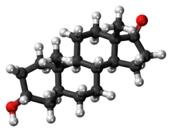 Ball-and-stick model of the etiocholanolone molecule