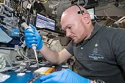 A European astronaut is seen in zero gravity conducting research with a micropipette