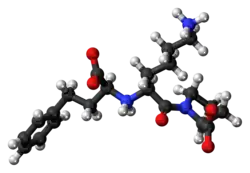 Ball-and-stick model of the lisinopril zwitterion