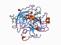 1bb0: THROMBIN INHIBITORS WITH RIGID TRIPEPTIDYL ALDEHYDES