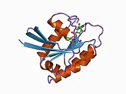 1clu: H-RAS COMPLEXED WITH DIAMINOBENZOPHENONE-BETA,GAMMA-IMIDO-GTP