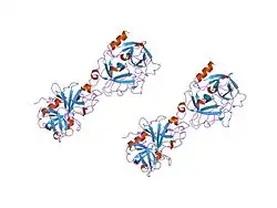 1ddj: CRYSTAL STRUCTURE OF HUMAN PLASMINOGEN CATALYTIC DOMAIN