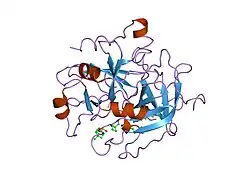 1eol: DESIGN OF P1' AND P3' RESIDUES OF TRIVALENT THROMBIN INHIBITORS AND THEIR CRYSTAL STRUCTURES
