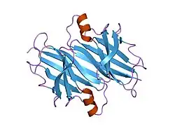 1f41: CRYSTAL STRUCTURE OF HUMAN TRANSTHYRETIN AT 1.5A RESOLUTION