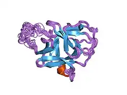 1j0s: Solution structure of the human interleukin-18