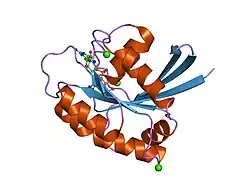 1lf0: Crystal Structure of RasA59G in the GTP-bound form