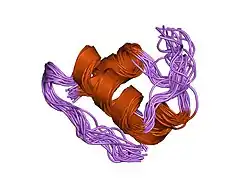 1mhj: SOLUTION STRUCTURE OF THE SUPERACTIVE MONOMERIC DES-[PHE(B25)] HUMAN INSULIN MUTANT. ELUCIDATION OF THE STRUCTURAL BASIS FOR THE MONOMERIZATION OF THE DES-[PHE(B25)] INSULIN AND THE DIMERIZATION OF NATIVE INSULIN