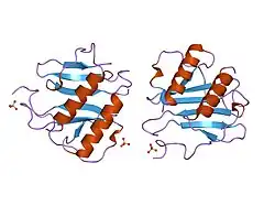 1qe6: INTERLEUKIN-8 WITH AN ADDED DISULFIDE BETWEEN RESIDUES 5 AND 33 (L5C/H33C)
