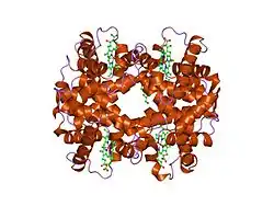 1sdk: CROSS-LINKED, CARBONMONOXY HEMOGLOBIN A