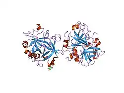 1sgi: Crystal structure of the anticoagulant slow form of thrombin