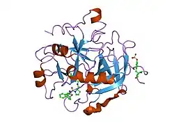 1ta2: Crystal structure of thrombin in complex with compound 1