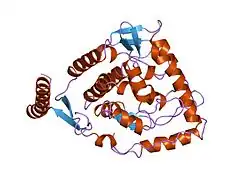1toh: TYROSINE HYDROXYLASE CATALYTIC AND TETRAMERIZATION DOMAINS FROM RAT