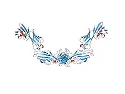 1wiq: STRUCTURE OF T-CELL SURFACE GLYCOPROTEIN CD4, TRIGONAL CRYSTAL FORM