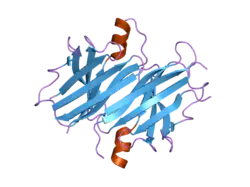 1x7t: Structure of TTR R104H: a non-amyloidogenic variant with protective clinical effects