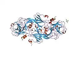 1xx9: Crystal Structure of the FXIa Catalytic Domain in Complex with EcotinM84R