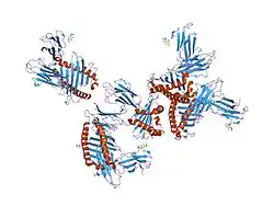 1zs8: Crystal Structure of the Murine MHC Class Ib Molecule M10.5
