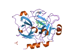 1ztk: Crystal Structure of the Catalytic Domain of Coagulation Factor XI in Complex with 2-(5-Amino-6-oxo-2-m-tolyl-6H-pyrimidin-1-yl)-N-[4-guanidino-1-(thiazole-2-carbonyl)-butyl]-acetamide