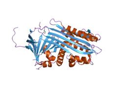 2arr: Human plasminogen activator inhibitor-2.[loop (66-98) deletion mutant] complexed with peptide n-acetyl-teaaagmggvmtgr-oh