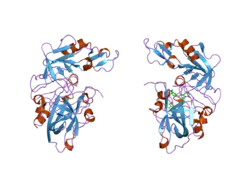 2bks: CRYSTAL STRUCTURE OF RENIN-PF00074777 COMPLEX