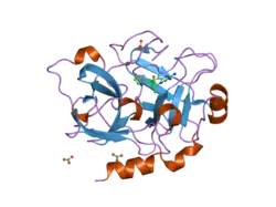 2fda: Crystal Structure of the Catalytic Domain of Human Coagulation Factor XIa in Complex with alpha-Ketothiazole Arginine Derived Ligand