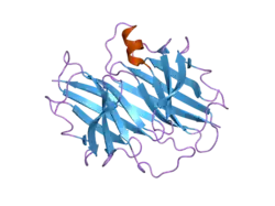 2g3x: Crystal structure of Transthyretin mutant I84S at acidic pH