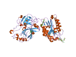 2i6q: Complement component C2a