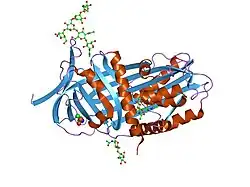 7api: THE S VARIANT OF HUMAN ALPHA1-ANTITRYPSIN, STRUCTURE AND IMPLICATIONS FOR FUNCTION AND METABOLISM