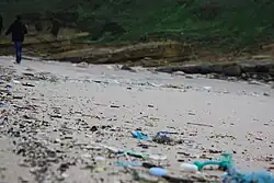 Beach with small pieces of plastic scattered all over