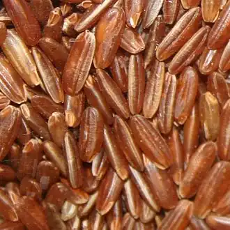 The same rice, dehusked (whole grain rice, colour varies by variety)