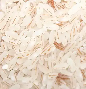 The same rice, with almost all bran and germ removed to make white rice