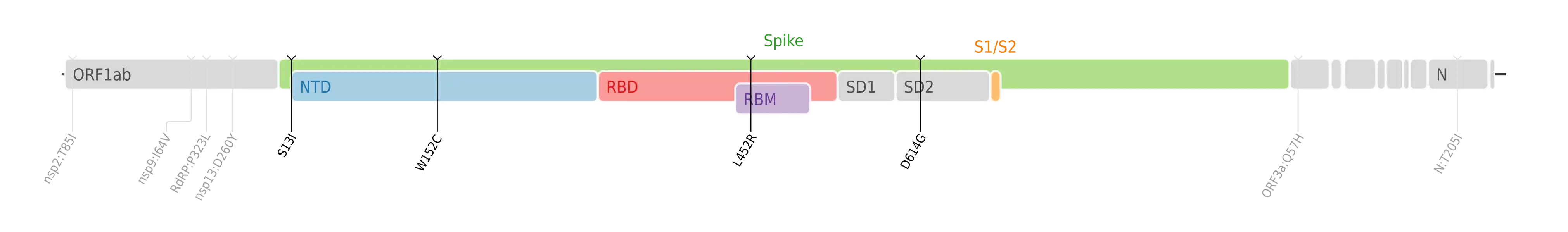 Amino acid mutations of SARS-CoV-2 Epsilon variant plotted on a genome map of SARS-CoV-2 with a focus on the spike.[7]