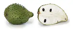 soursop fruit, whole and in section. It is green with scales has white flesh and black seeds.