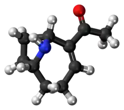 Ball-and-stick model of the anatoxin-a molecule