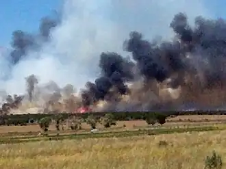 Flat expanse of brown grasses and some green trees with black and some gray smoke and visible flames in the distance.