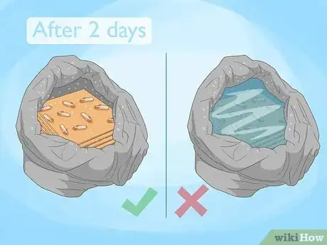 Image titled Grow King Oyster Mushrooms Step 9