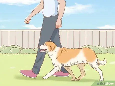 Image titled Treat Your Dog Step 3