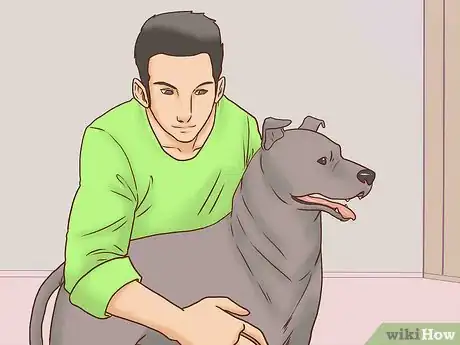 Image titled Keep Both Dogs Safe While Mating Them Step 3