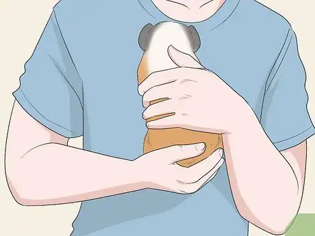 Image titled Hold a Guinea Pig Step 7