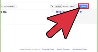 Translate a Web Page with Google