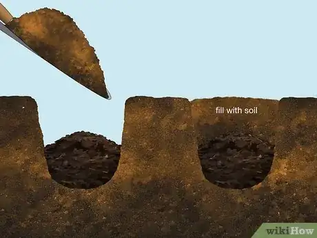 Image titled Add Compost to Plants Step 14
