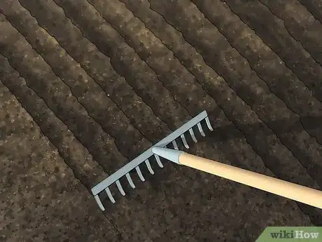 Image titled Kill Nematodes Step 1