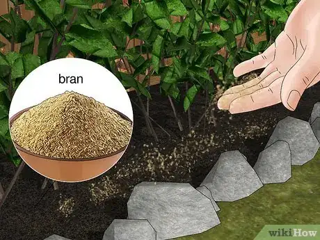 Image titled Does Salt Kill Slugs Step 10