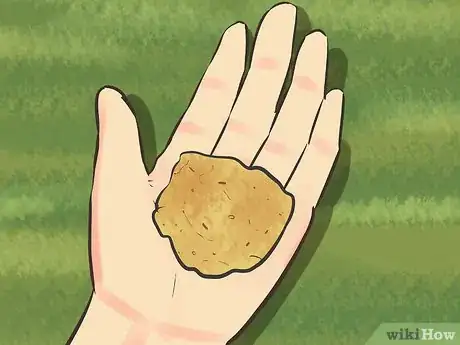 Image titled Train Chickens Step 8